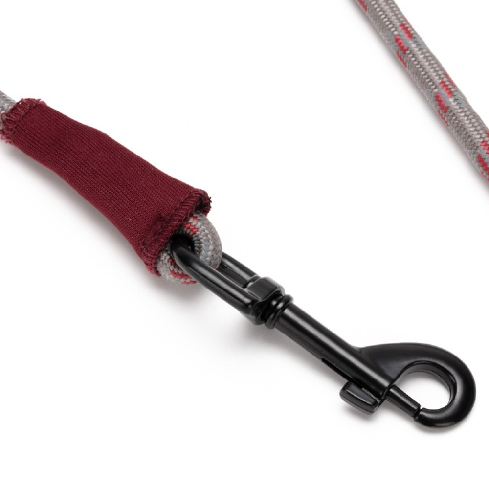 SP Dog Lead