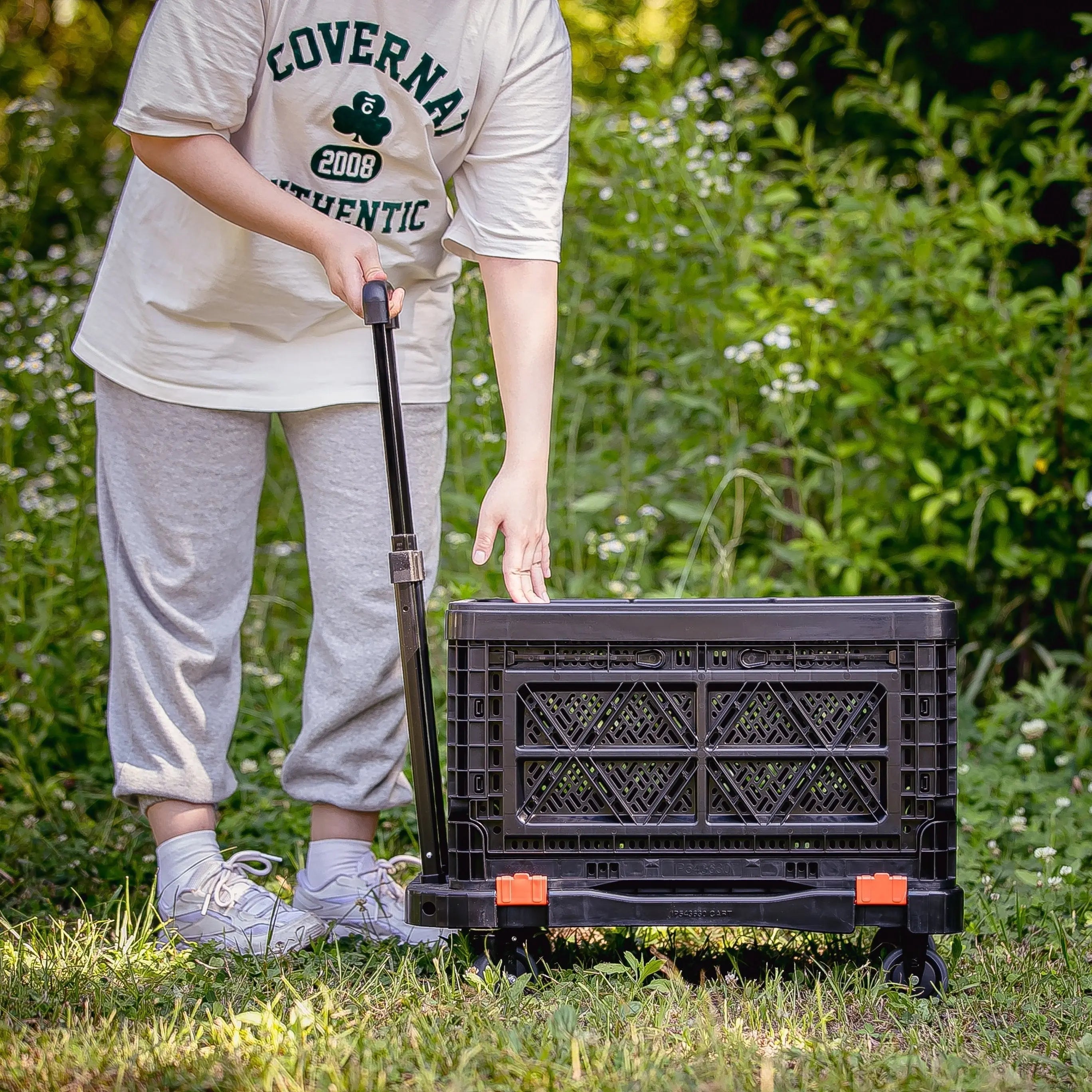 Folding Cart - BIGANT