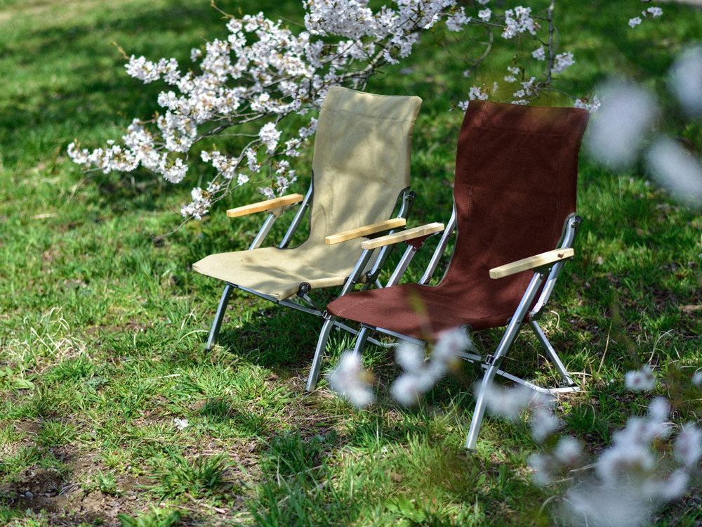 Low Beach Chair