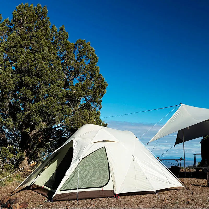 Alpha Breeze - Snow Peak