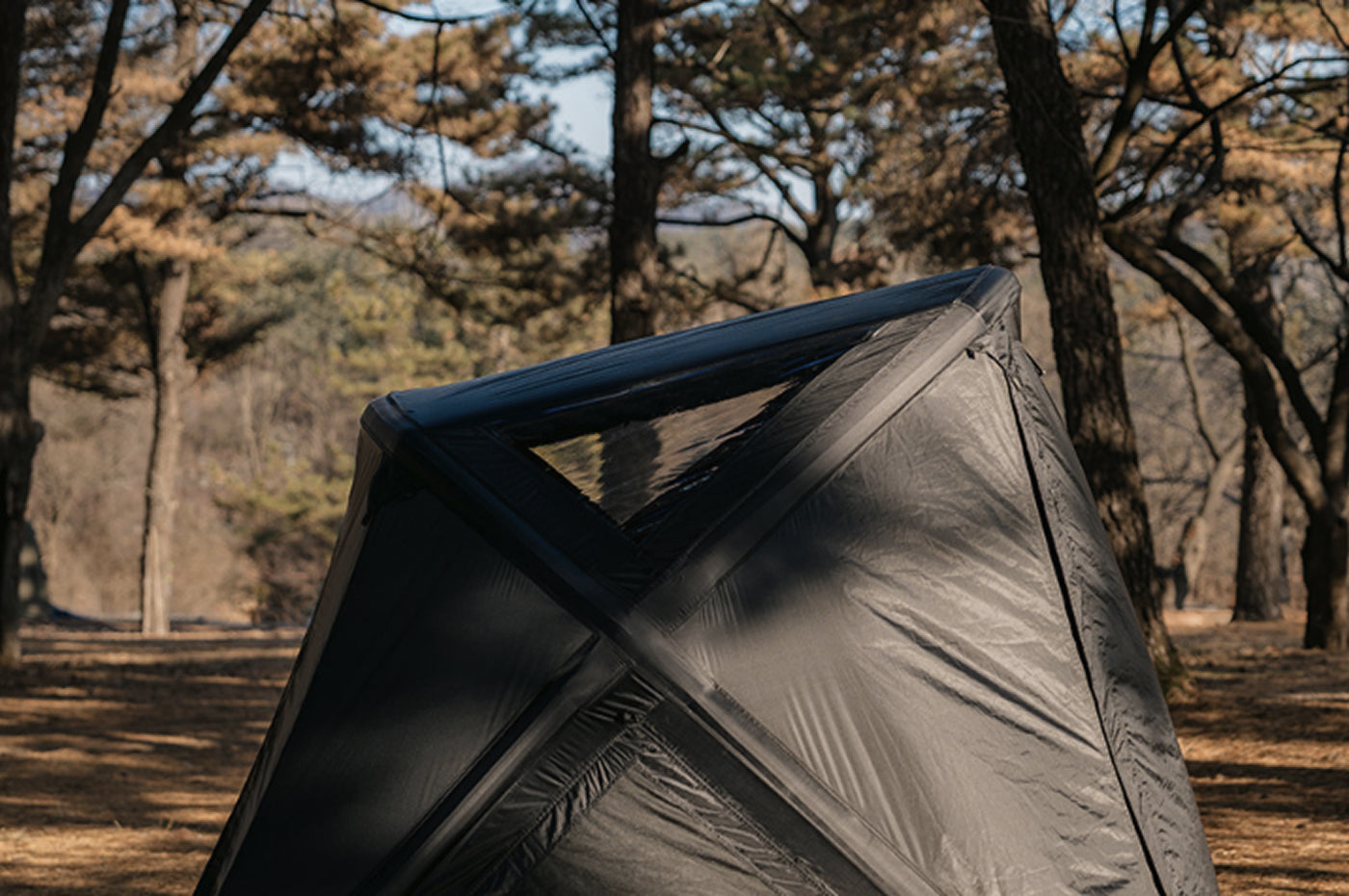 theEarth GEO AIR4 Tent, Black, side view with X-frame window in a forest campsite