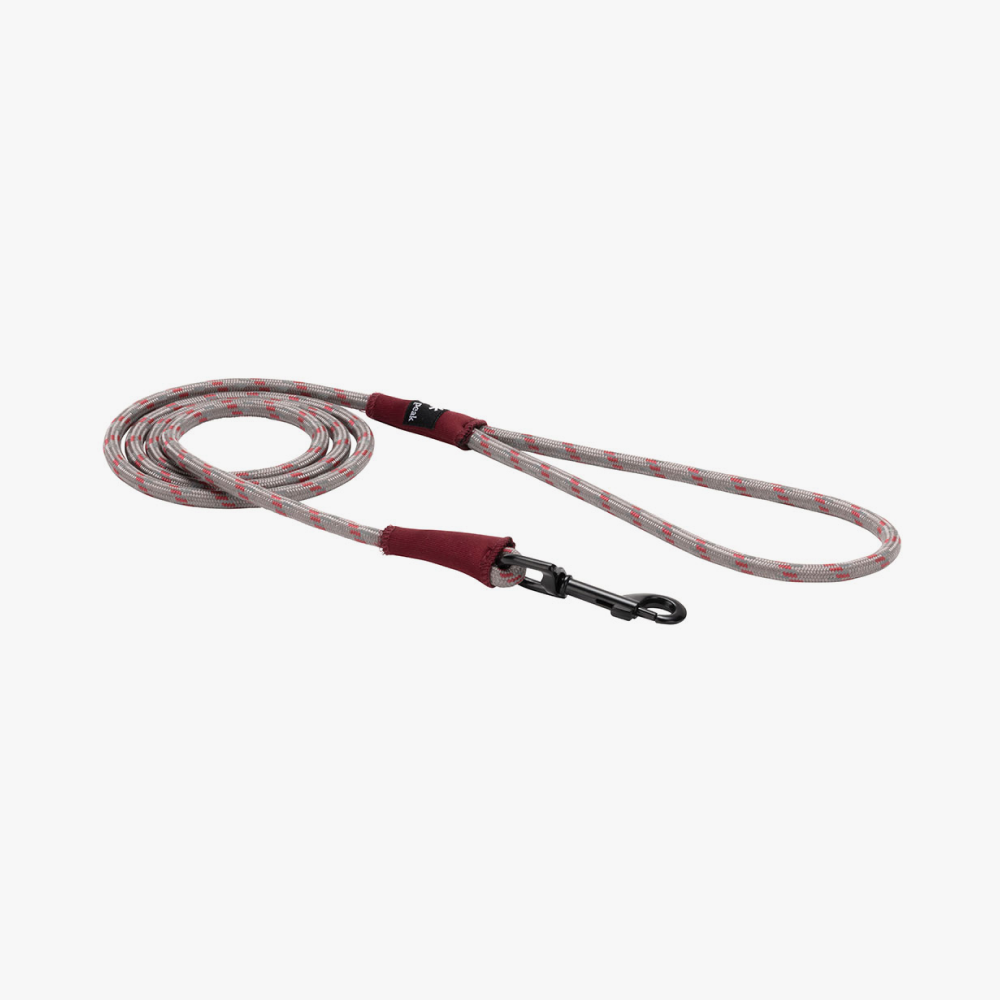 SP Dog Lead