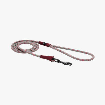 SP Dog Lead