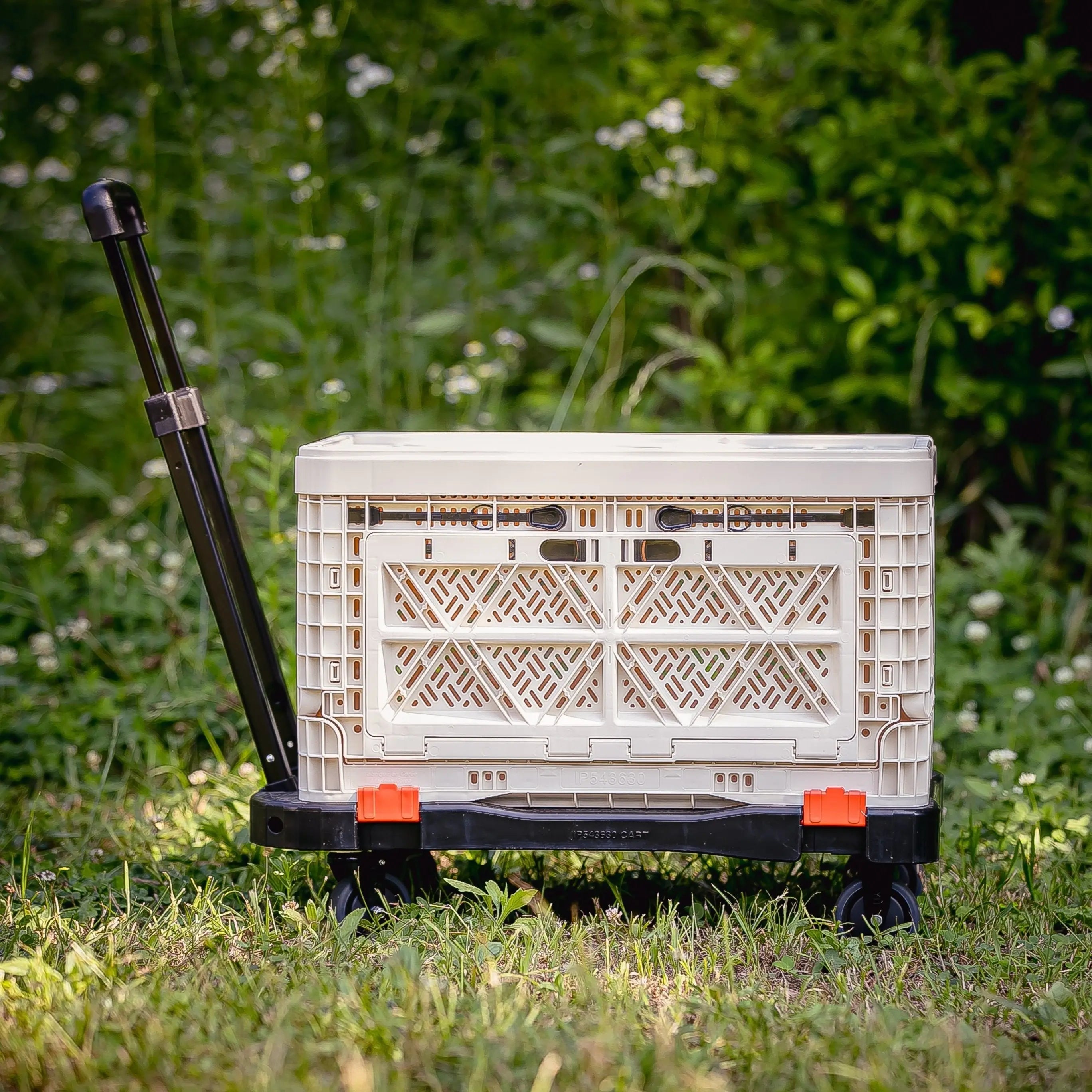 Folding Cart - BIGANT