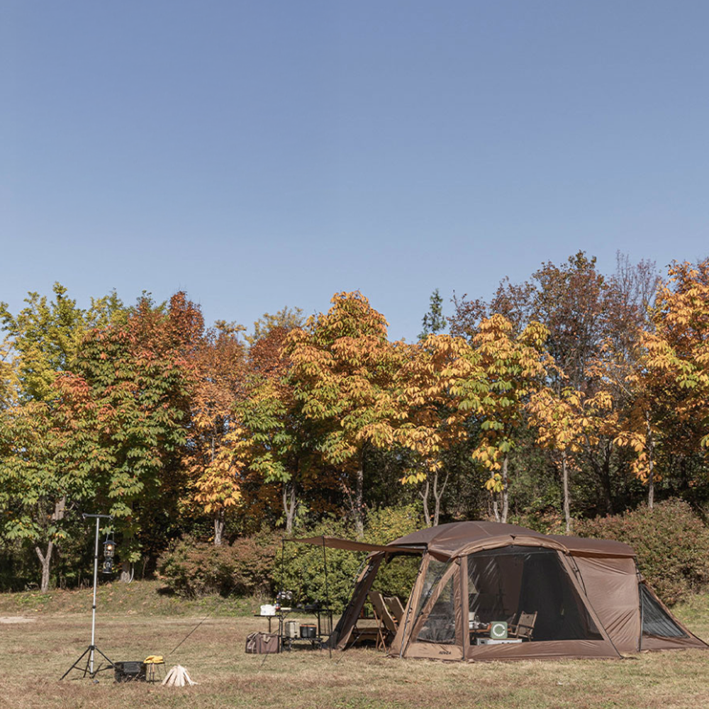 t tent Nest T
