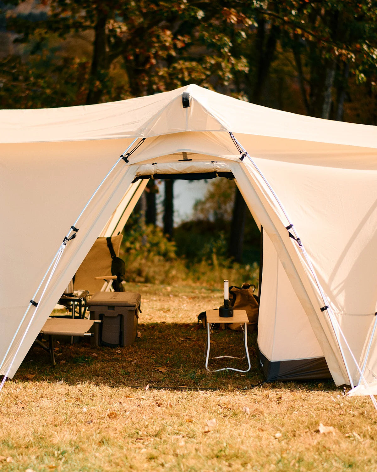 Land Nest Shelter Ivory
