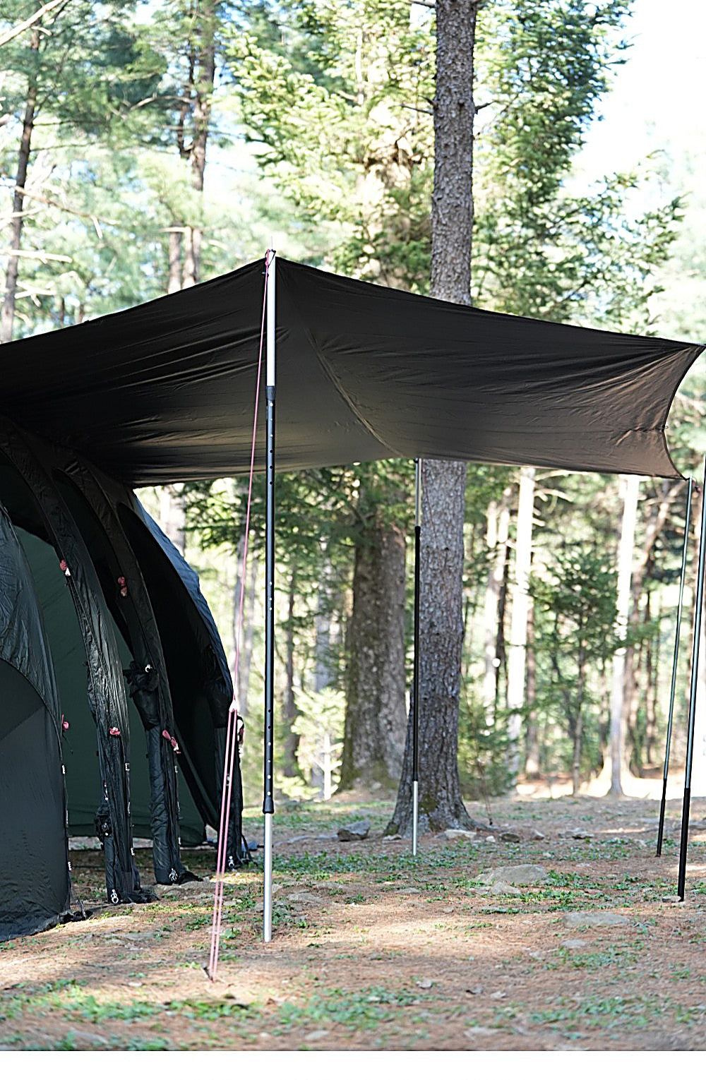 Detail of the T720+ Side Tarp's adjustable aluminum pole and tensioned guyline at the black canopy corner