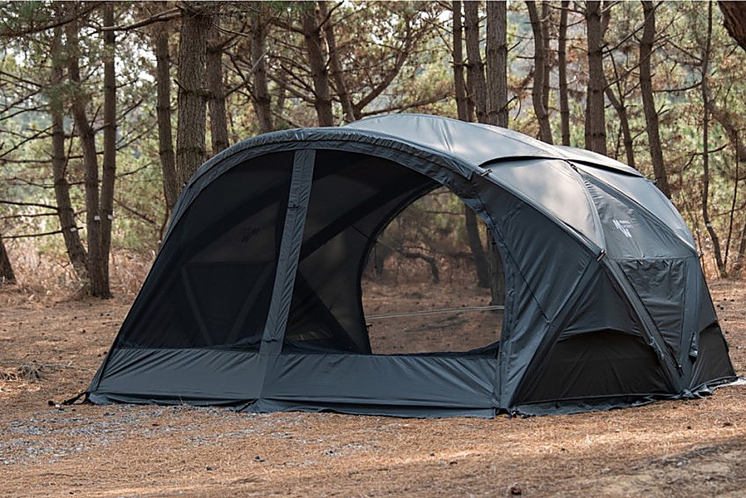 Shelter GM dome tent with full mesh front panels pitched among pine trees on a brown forest floor
