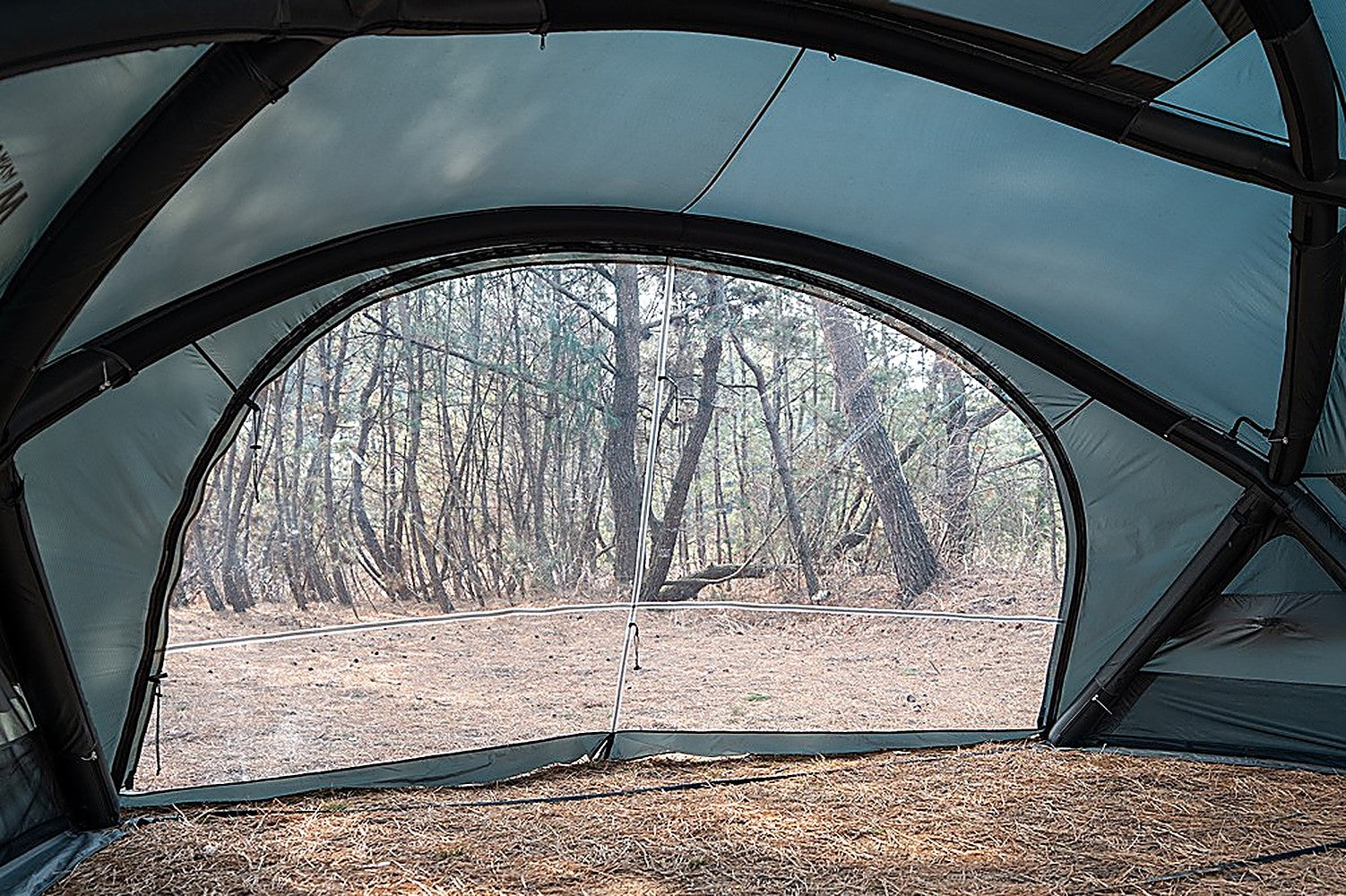 View from inside the Shelter GM through the clear TPU Door panel to pine woods, air-beam frame arching overhead