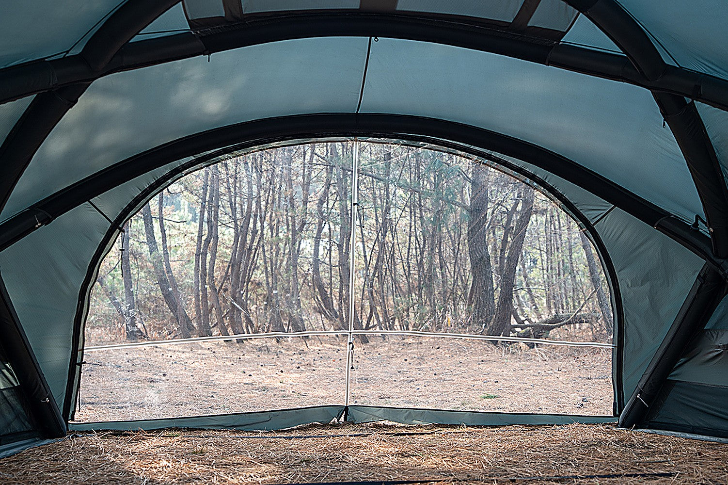 View from inside the closed Shelter GM looking out through the transparent front panel to surrounding trees and daylight