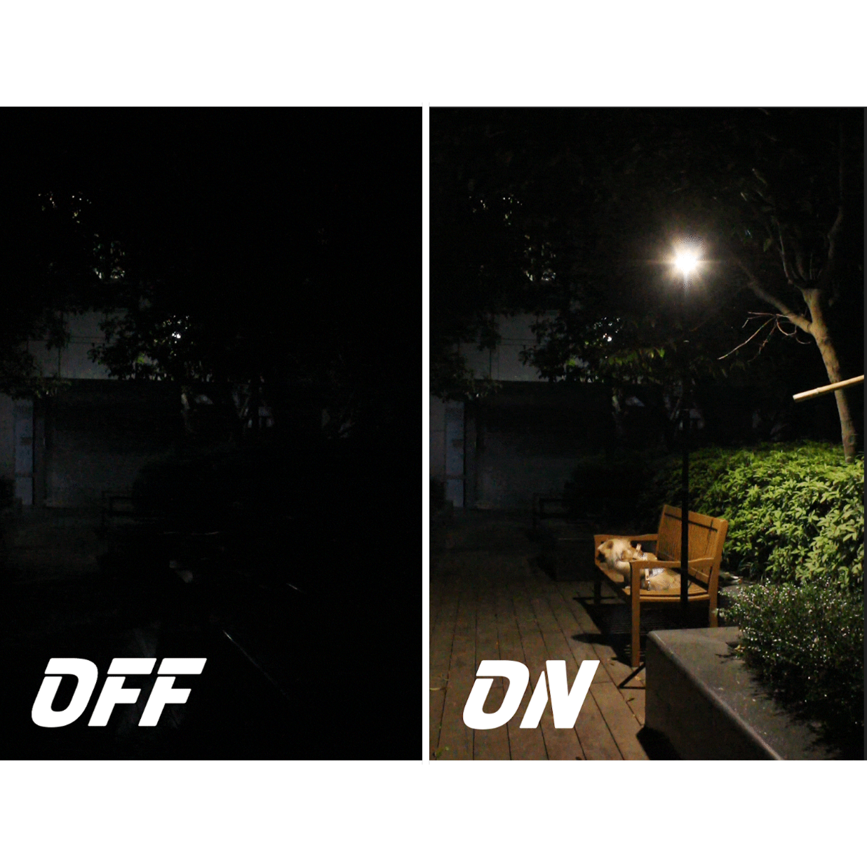FINEL N7 Lantern