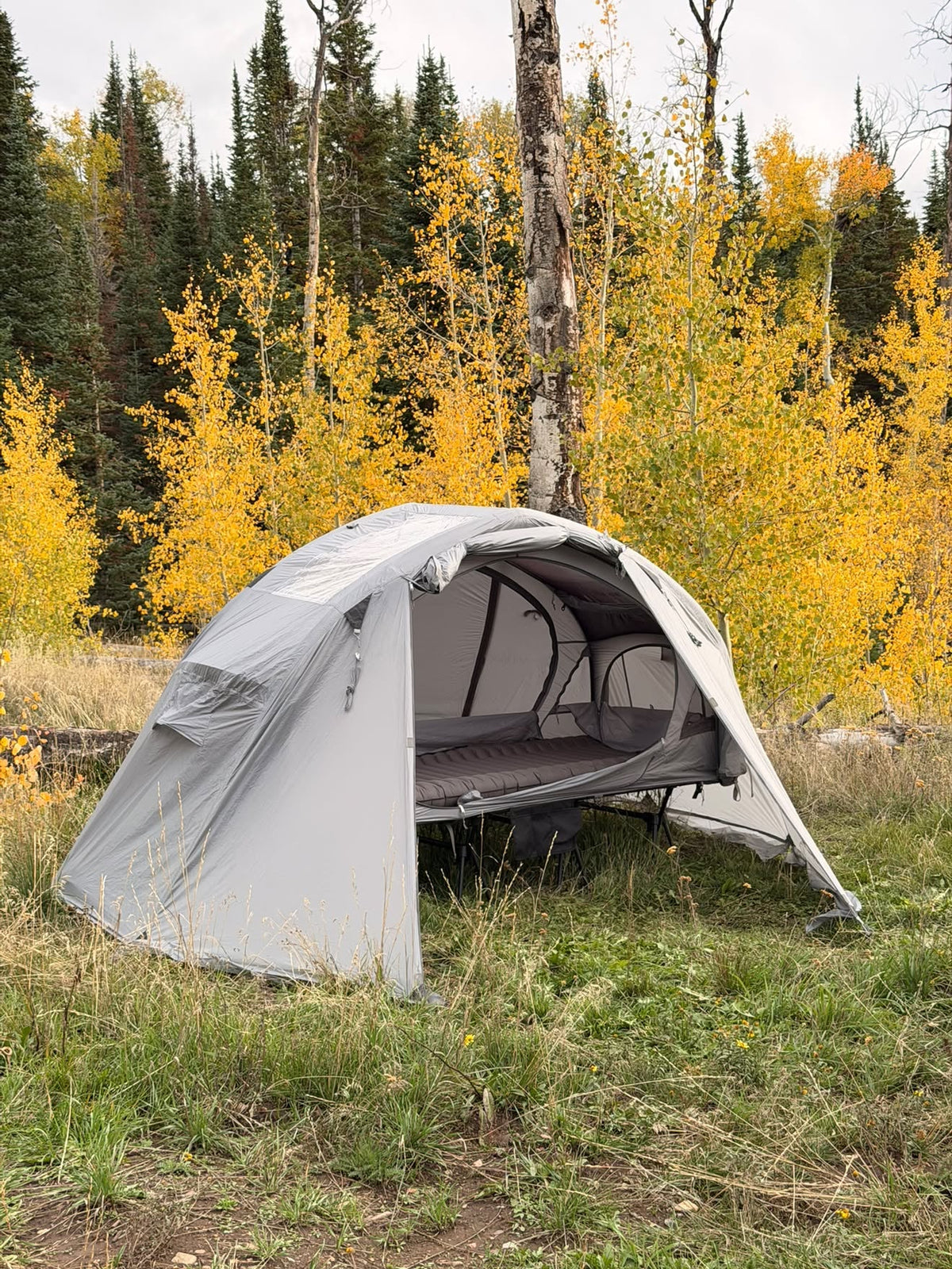 Neo Nest 80 Air with its rainfly in an aspen forest, Sky Mat Wave 77 on the cot inside (tent, fly and cot sold separately).