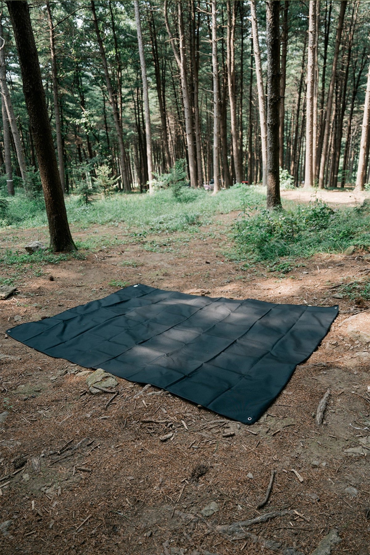 Black ground sheet spread on bare ground in a pine forest
