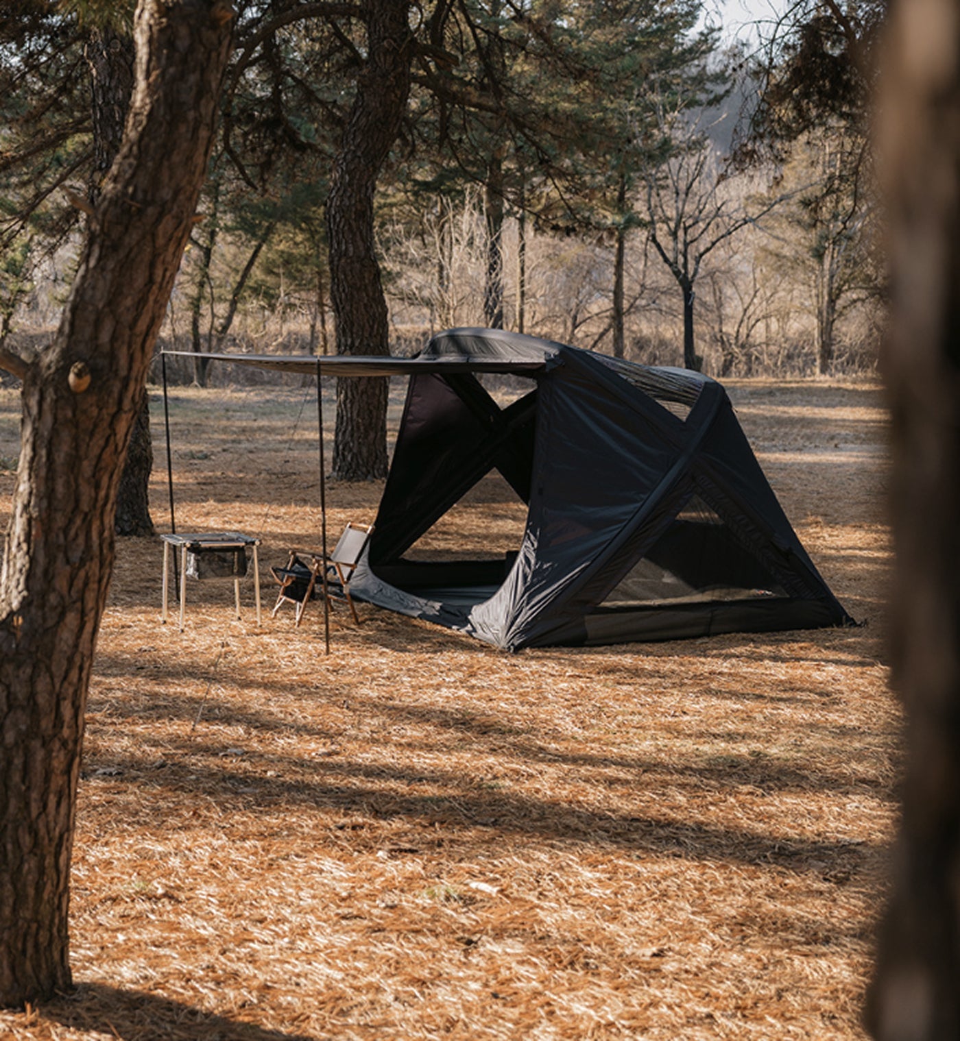 theEarth GEO AIR4 Tent, Black, side view in a woodland campsite
